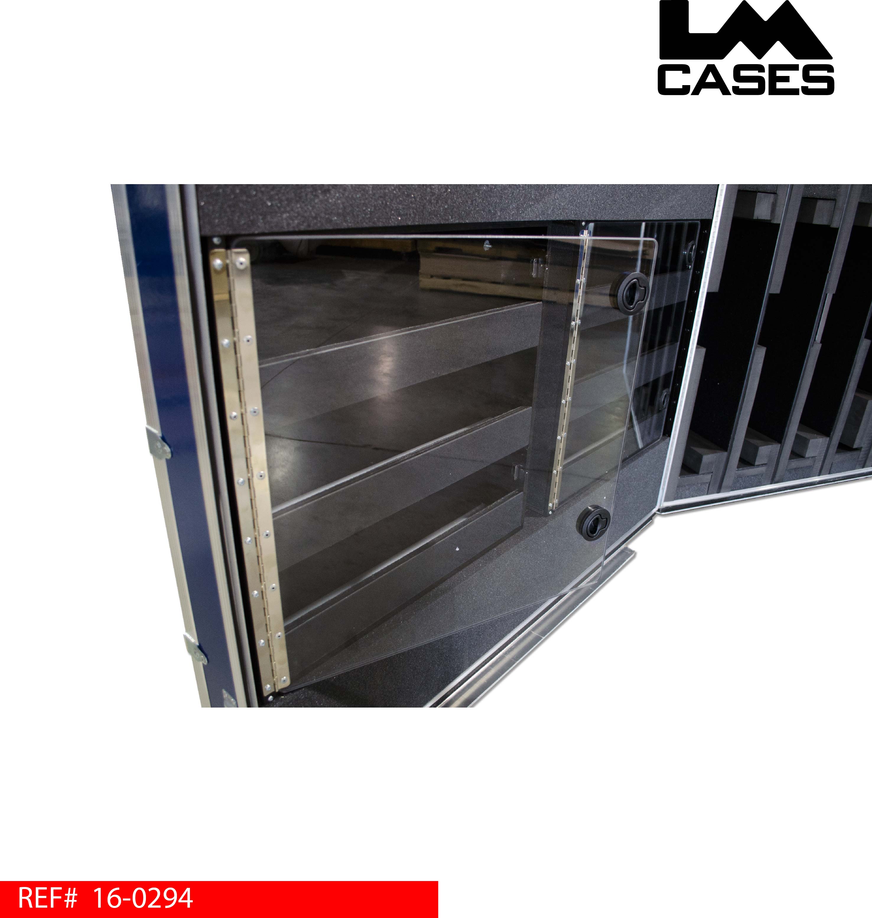 lm_cases_boeing_lexan_door.jpg