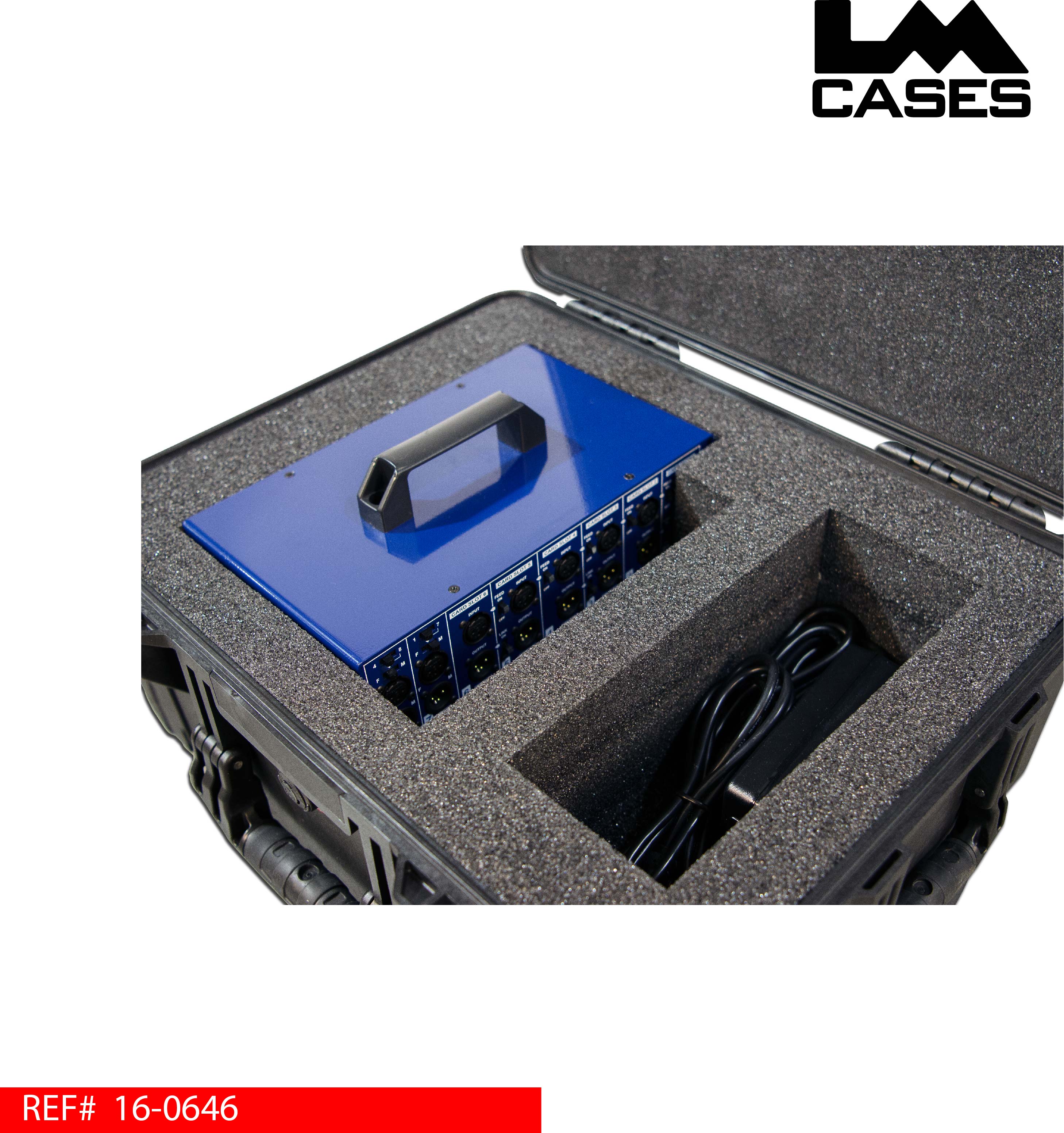 radial_sixpack_pelican_case.jpg