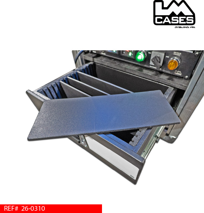 removable_divider_for_workbox_drawer_lm_cases.jpg